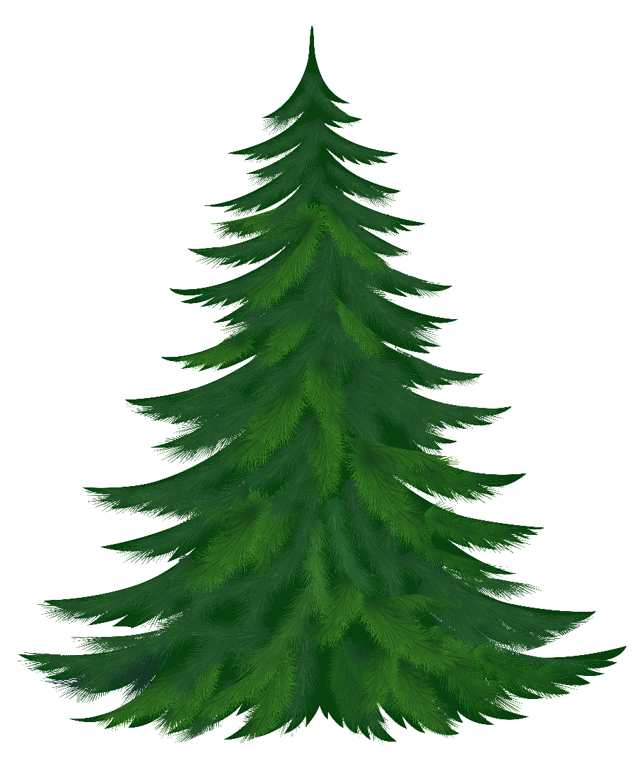 tree transparent background pine