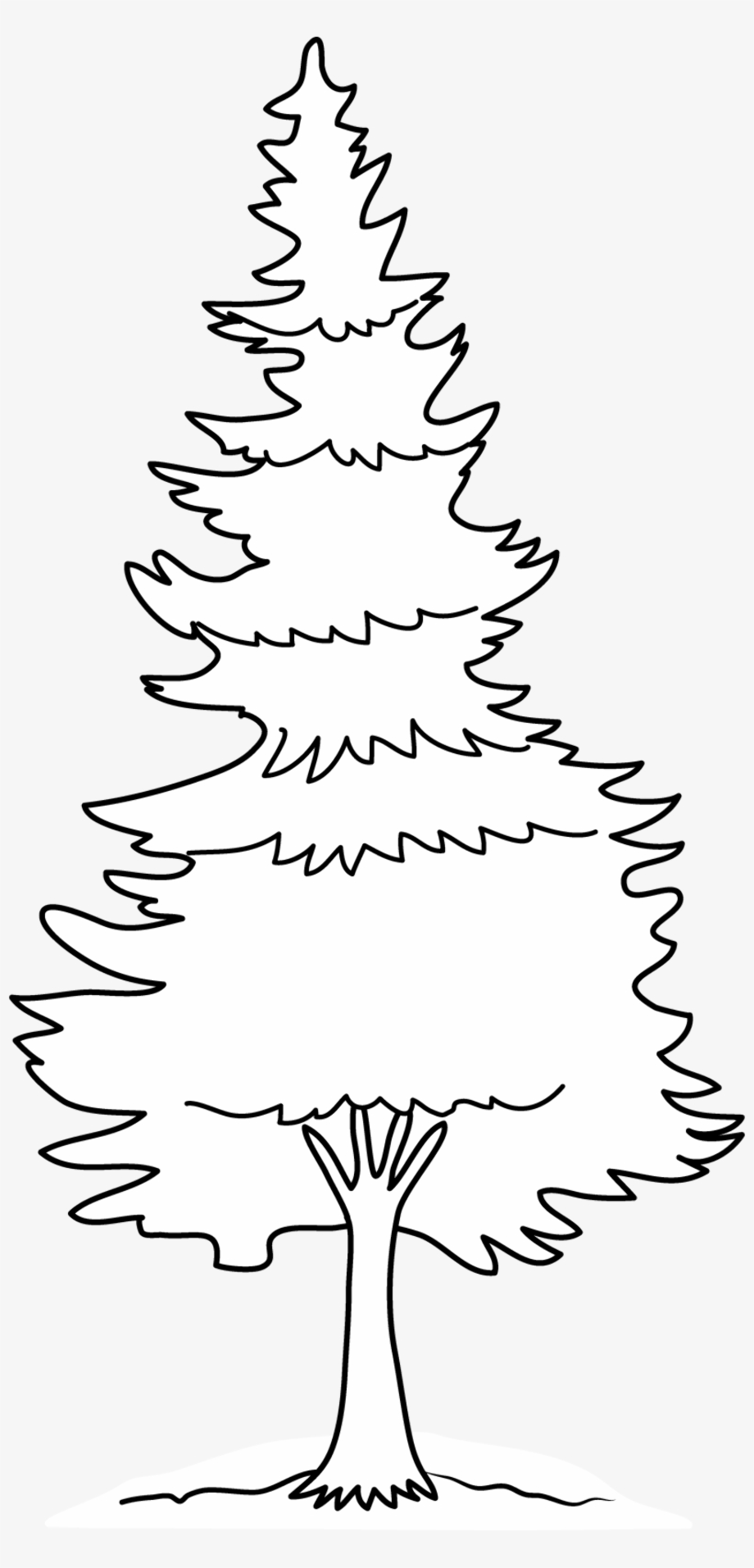 Download High Quality pine tree clip art outline