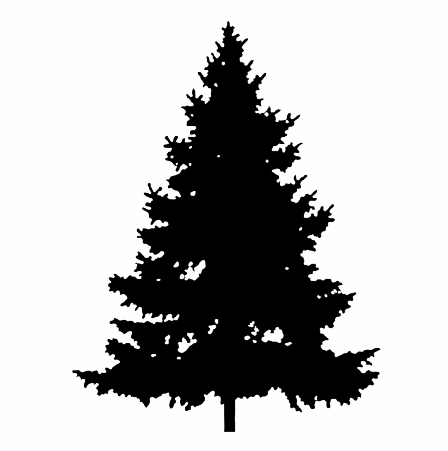 Download High Quality pine tree clipart spruce Transparent