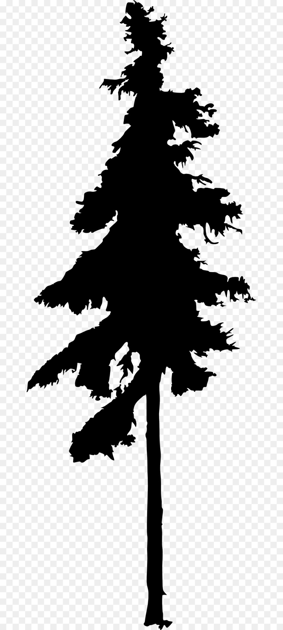 pine tree clipart tall
