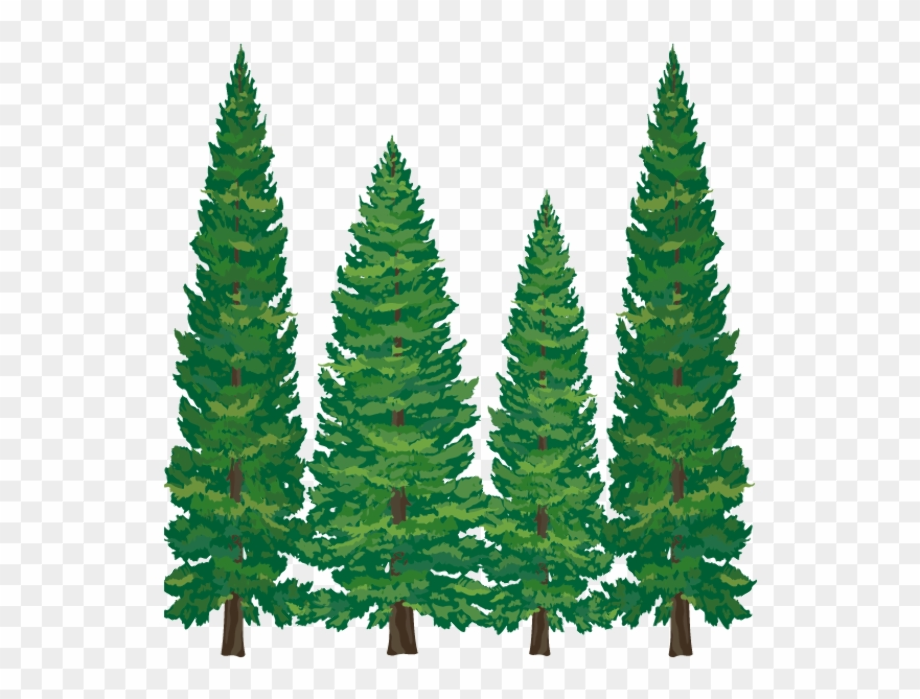 Download High Quality pine tree clipart cartoon Transparent PNG Images