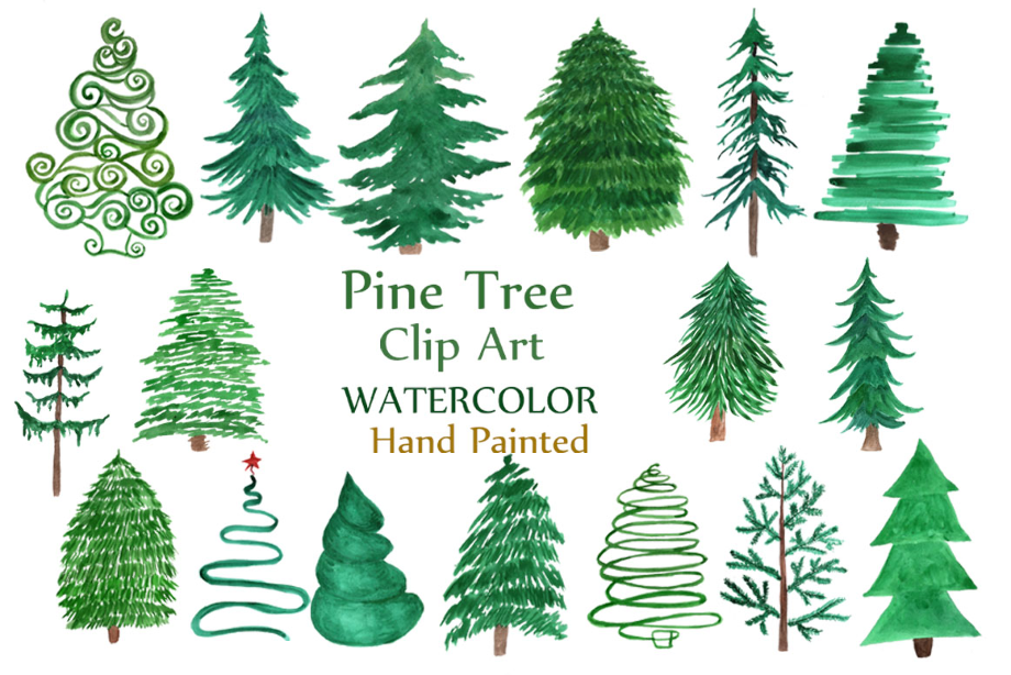 pine tree clip art watercolor