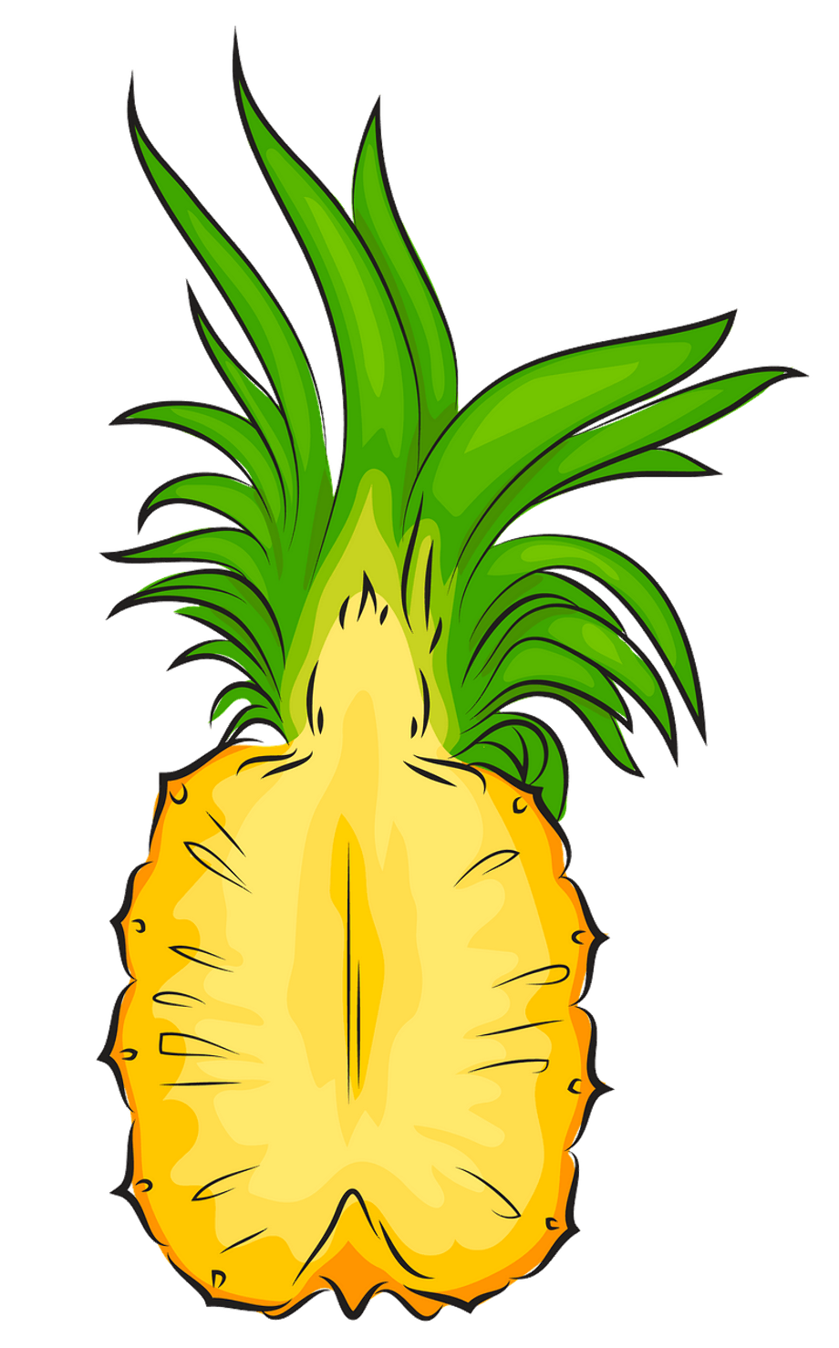 Download High Quality pineapple clip art cut out Transparent PNG Images