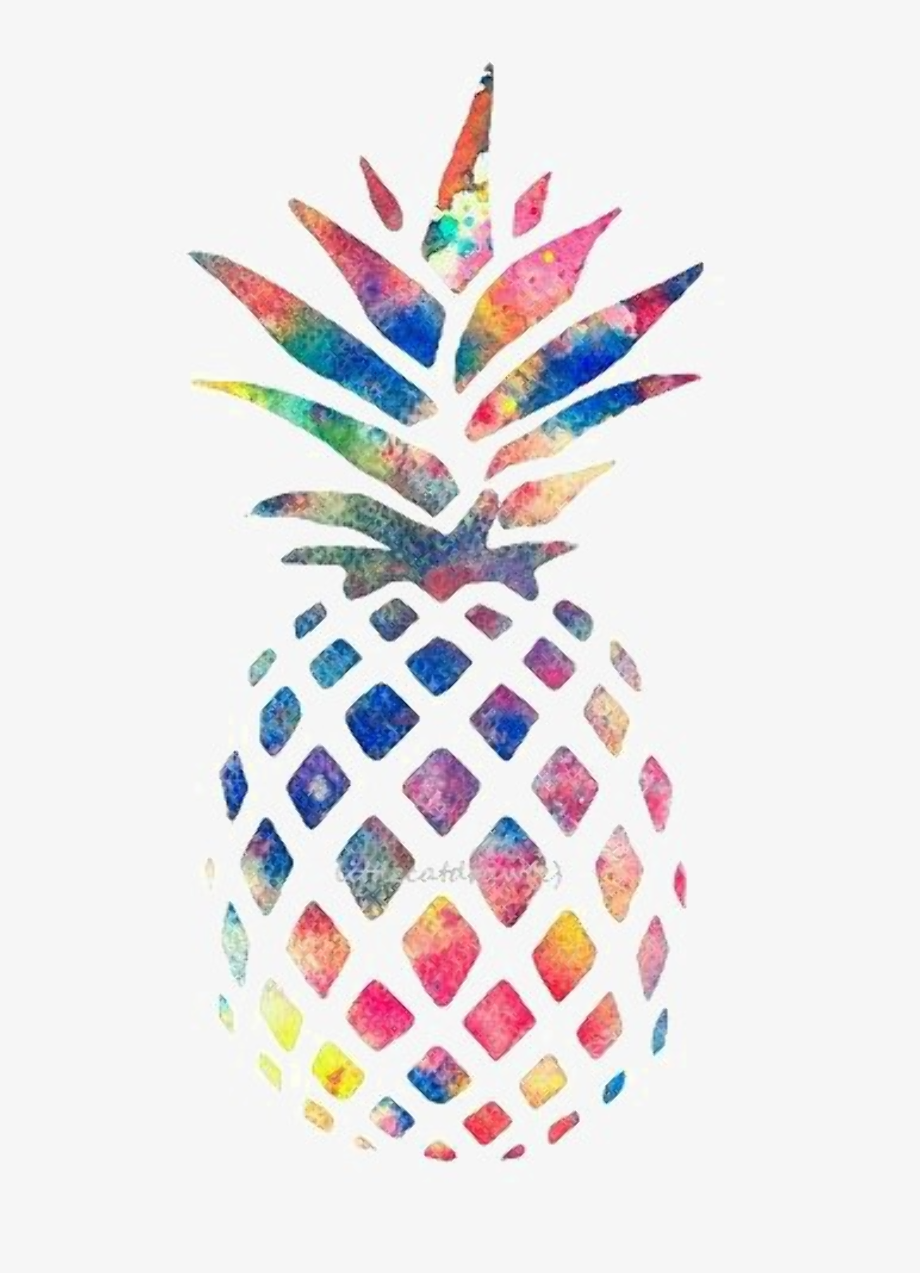 pineapple clipart colorful
