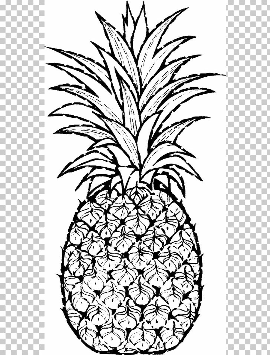 pineapple clipart drawing