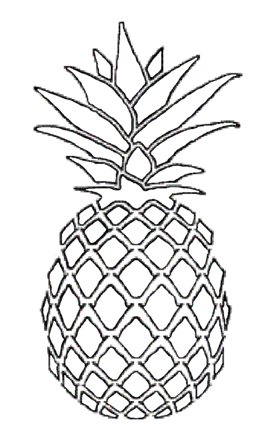 Download High Quality pineapple clipart drawing Transparent PNG Images