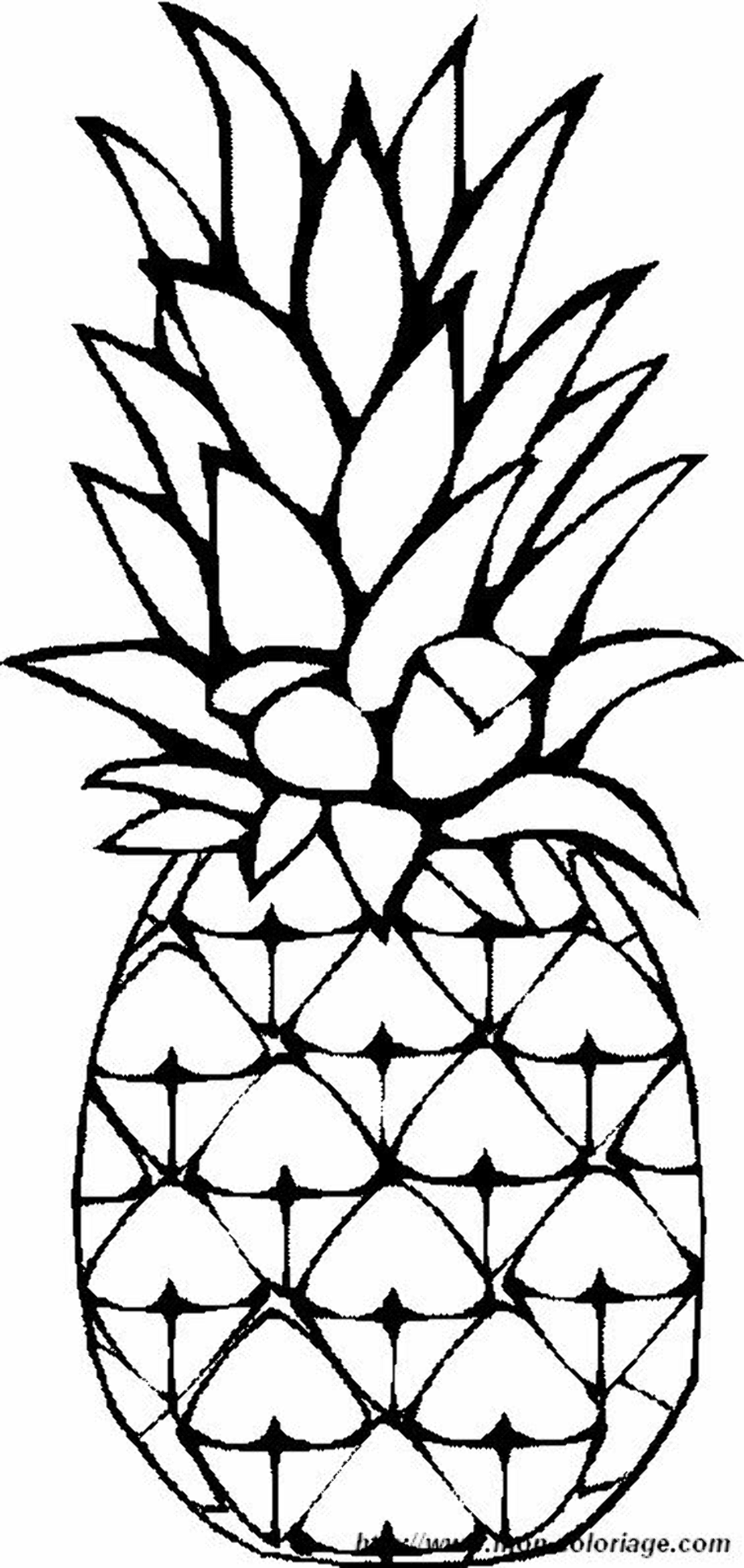 Download High Quality pineapple clipart drawing Transparent PNG Images