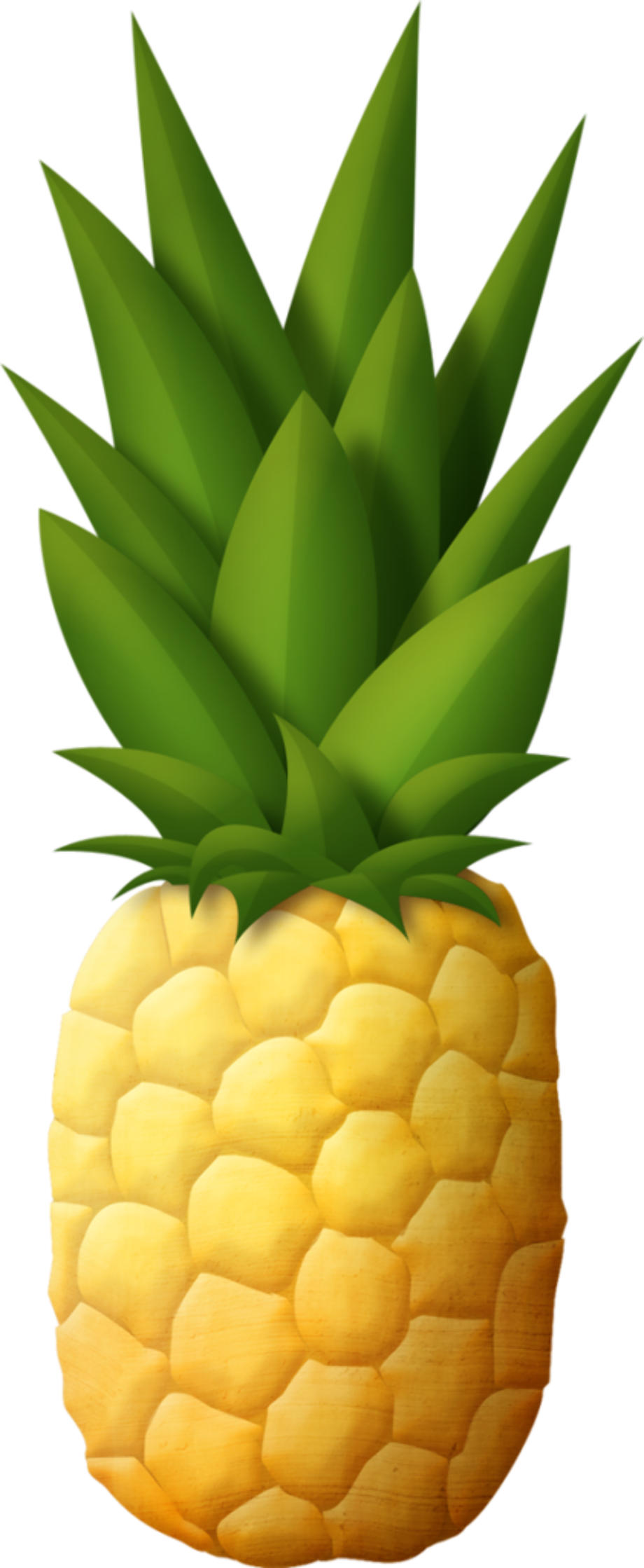 Download High Quality pineapple clipart  printable 