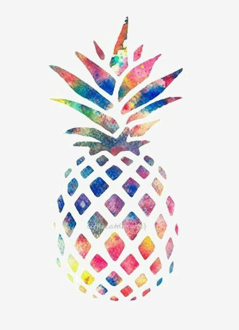 pineapple clipart rainbow