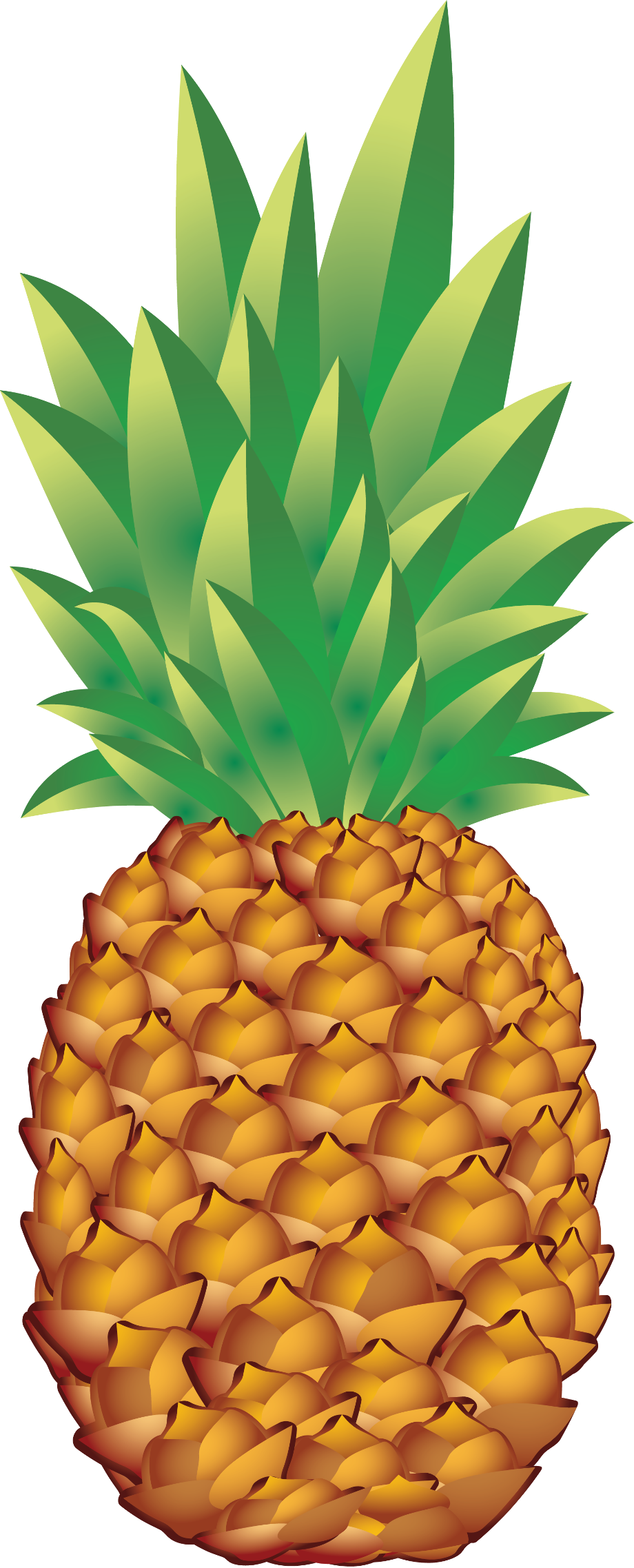 pineapple clip art transparent