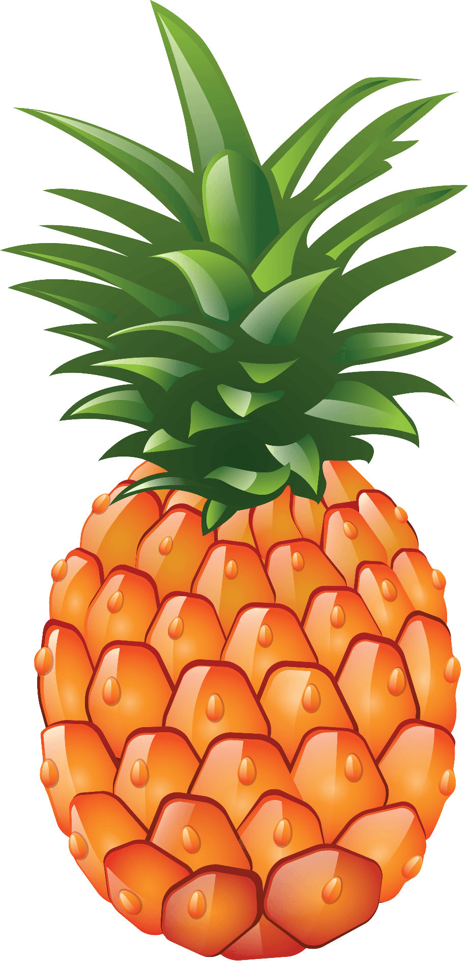 pineapple clip art high resolution