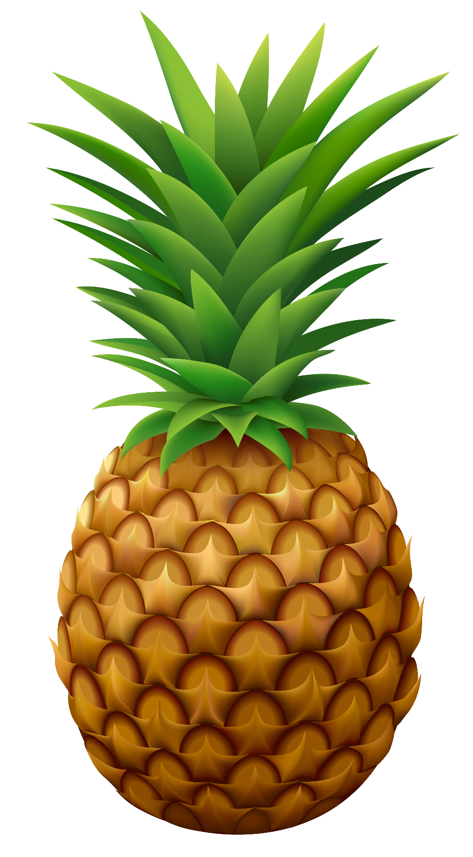 pineapple clip art vector