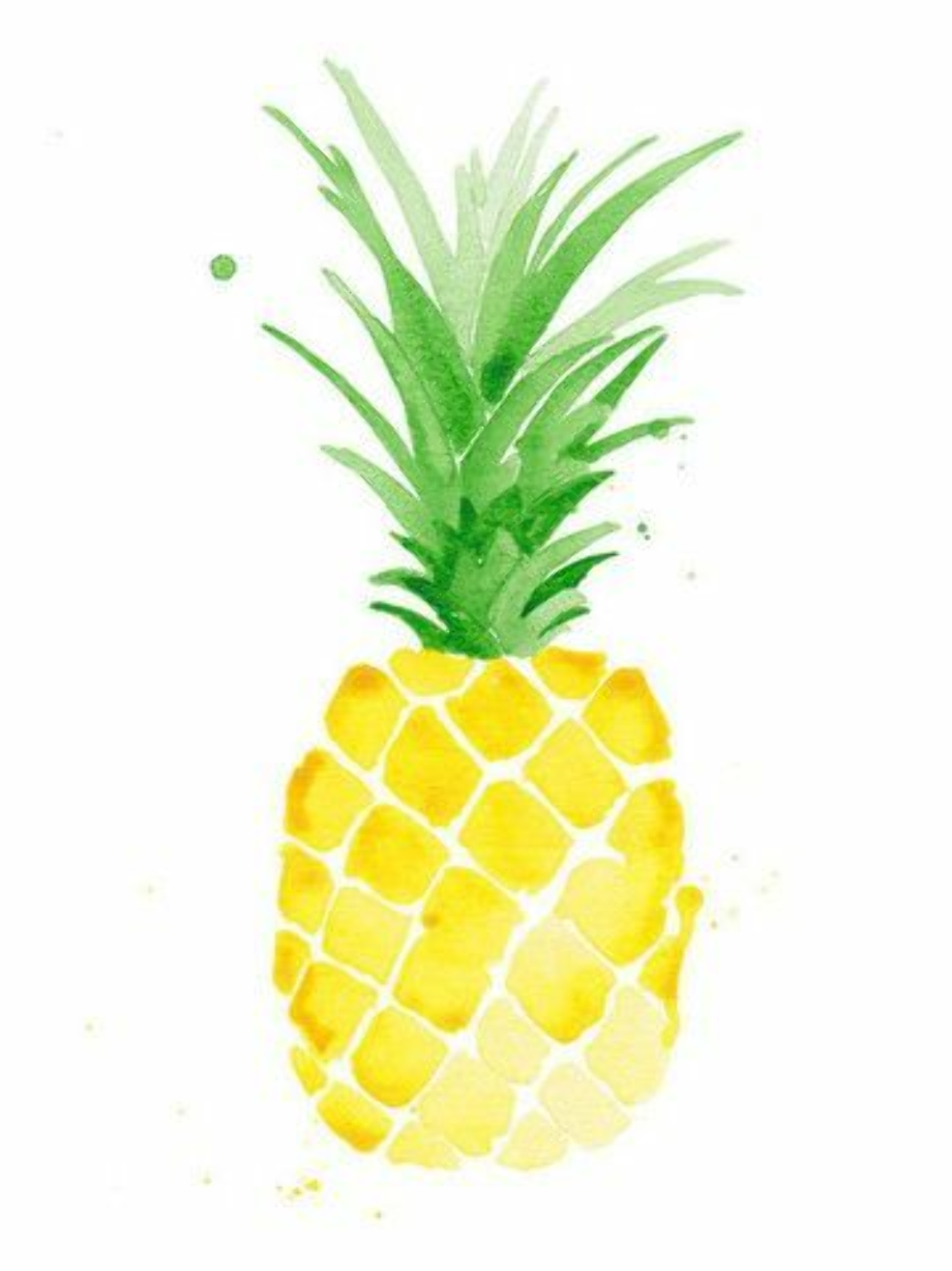 pineapple clipart watercolor
