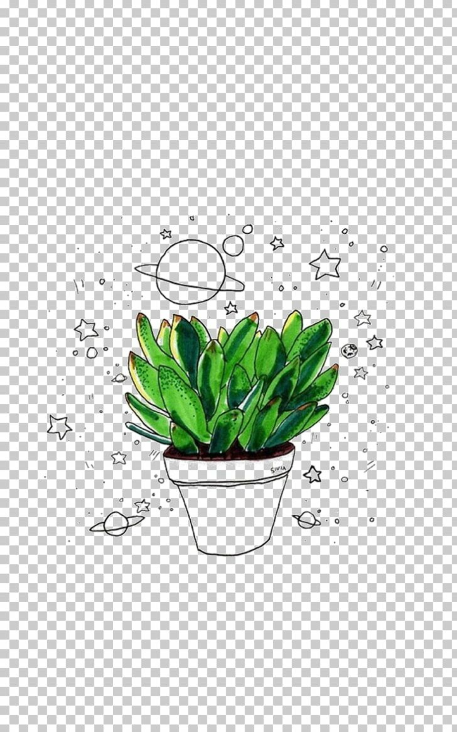 Plant Art Aesthetic