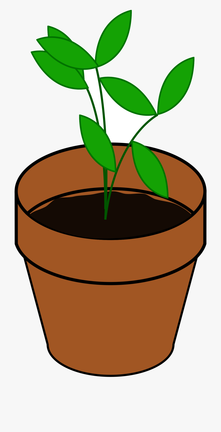 plant clipart potted