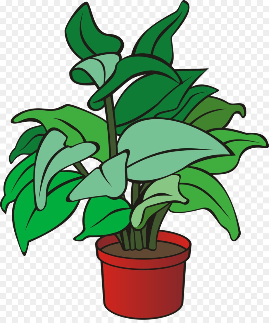 Download High Quality plant clipart cartoon Transparent PNG Images ...