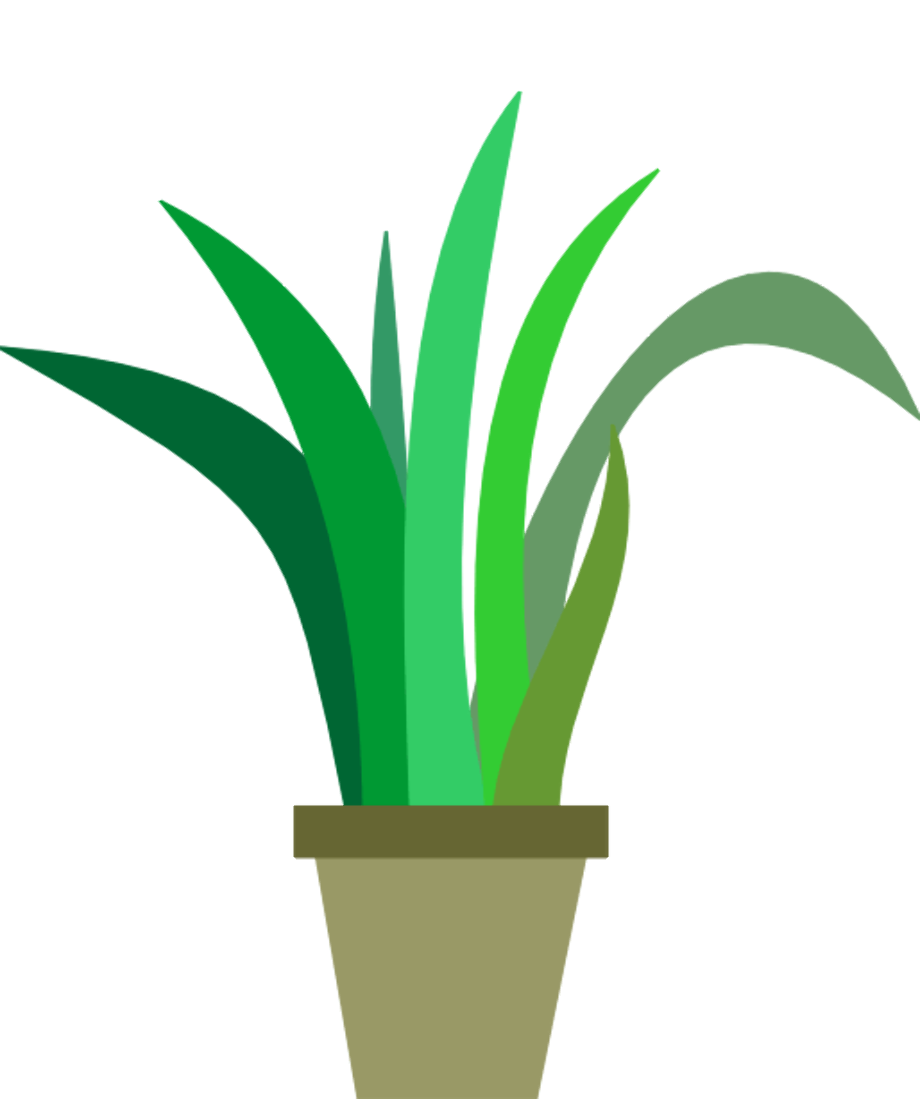 Download High Quality plant clipart cartoon Transparent PNG Images