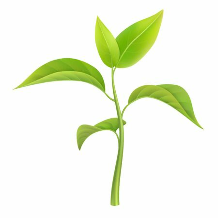 plant clipart small