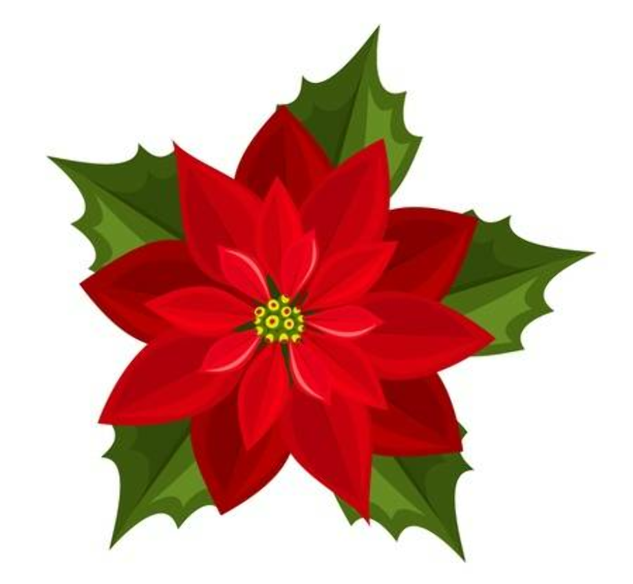 Download High Quality poinsettia clipart Transparent PNG Images - Art ...
