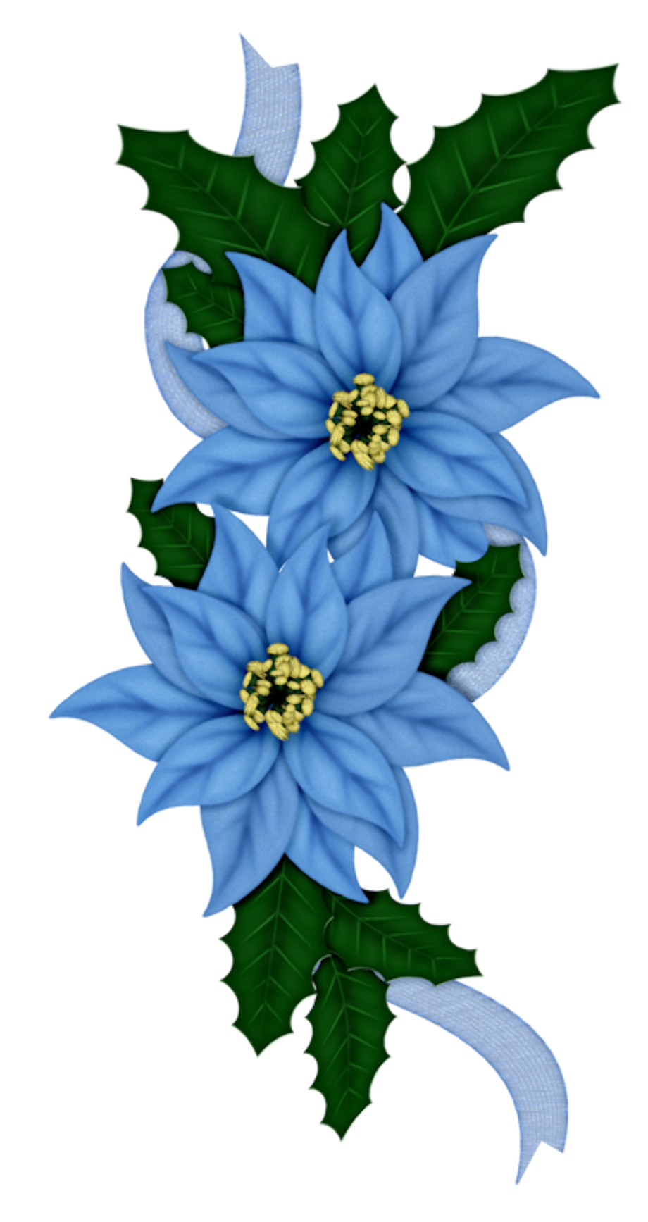 Download High Quality poinsettia clipart blue Transparent PNG Images