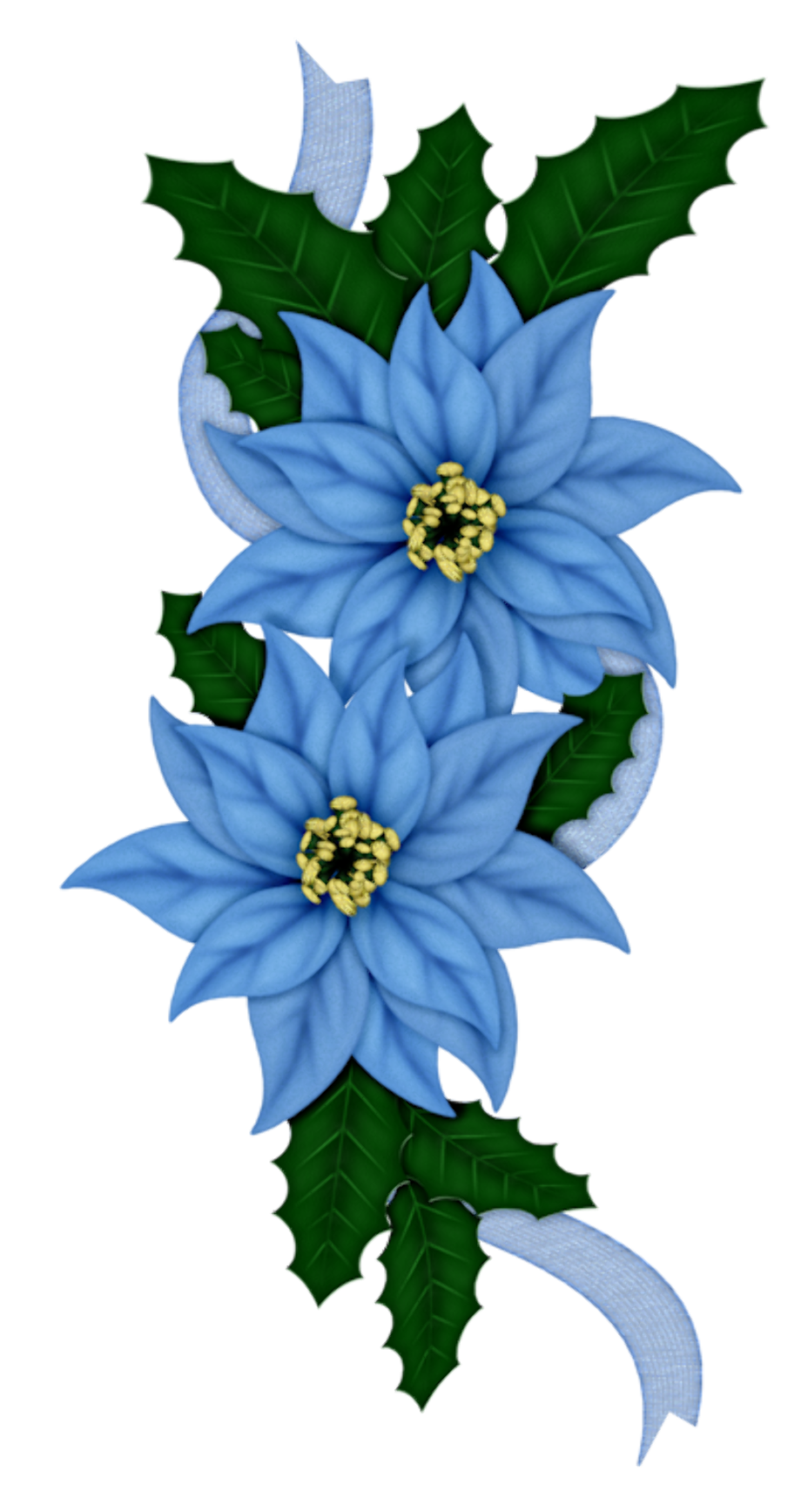 poinsettia clipart blue