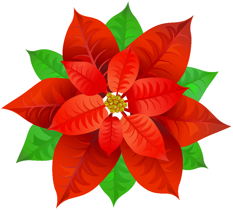 Download High Quality poinsettia clipart blue Transparent PNG Images ...