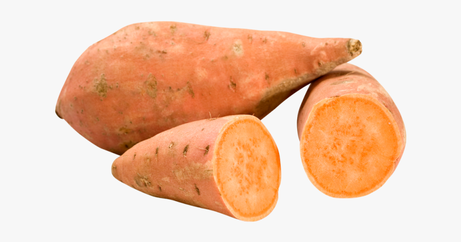 Продолговатый округлый. Батат. Бонита батат оранжевый. Батат картинки. Sweet Potato Clipart.