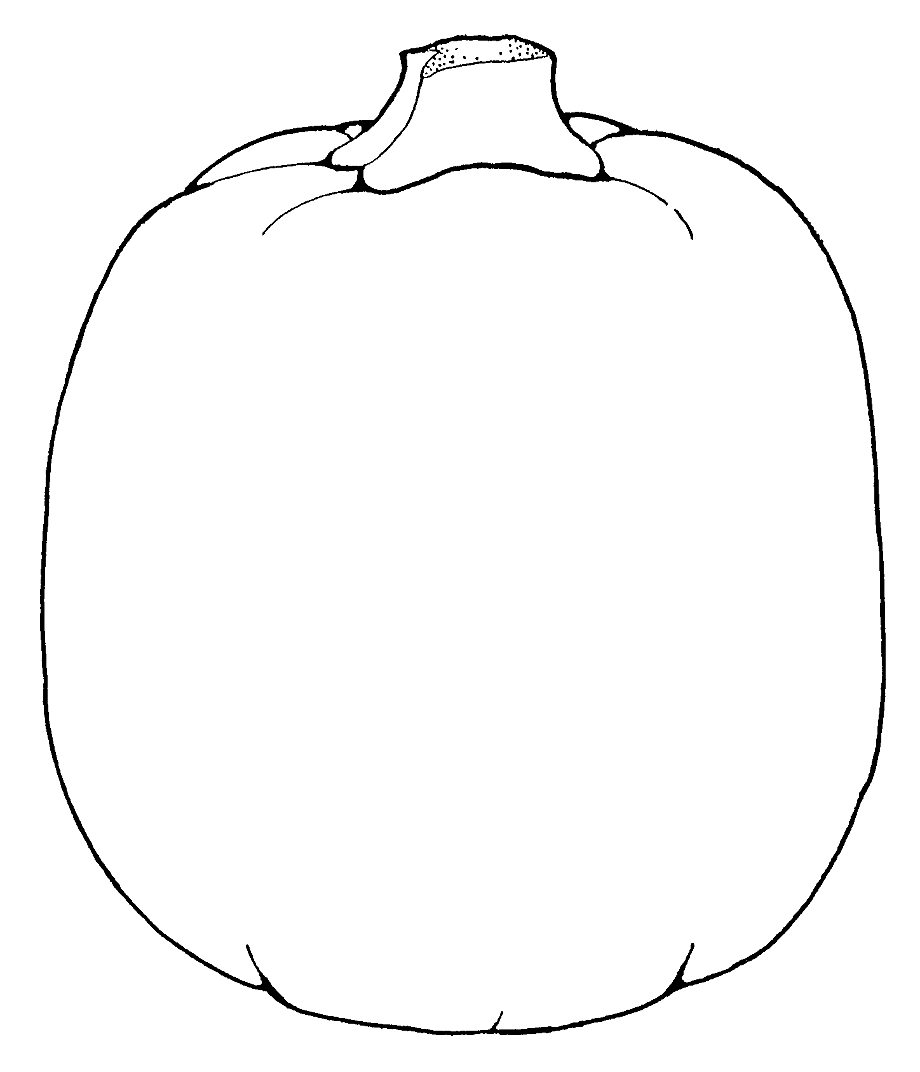 pumpkin clipart black and white patch