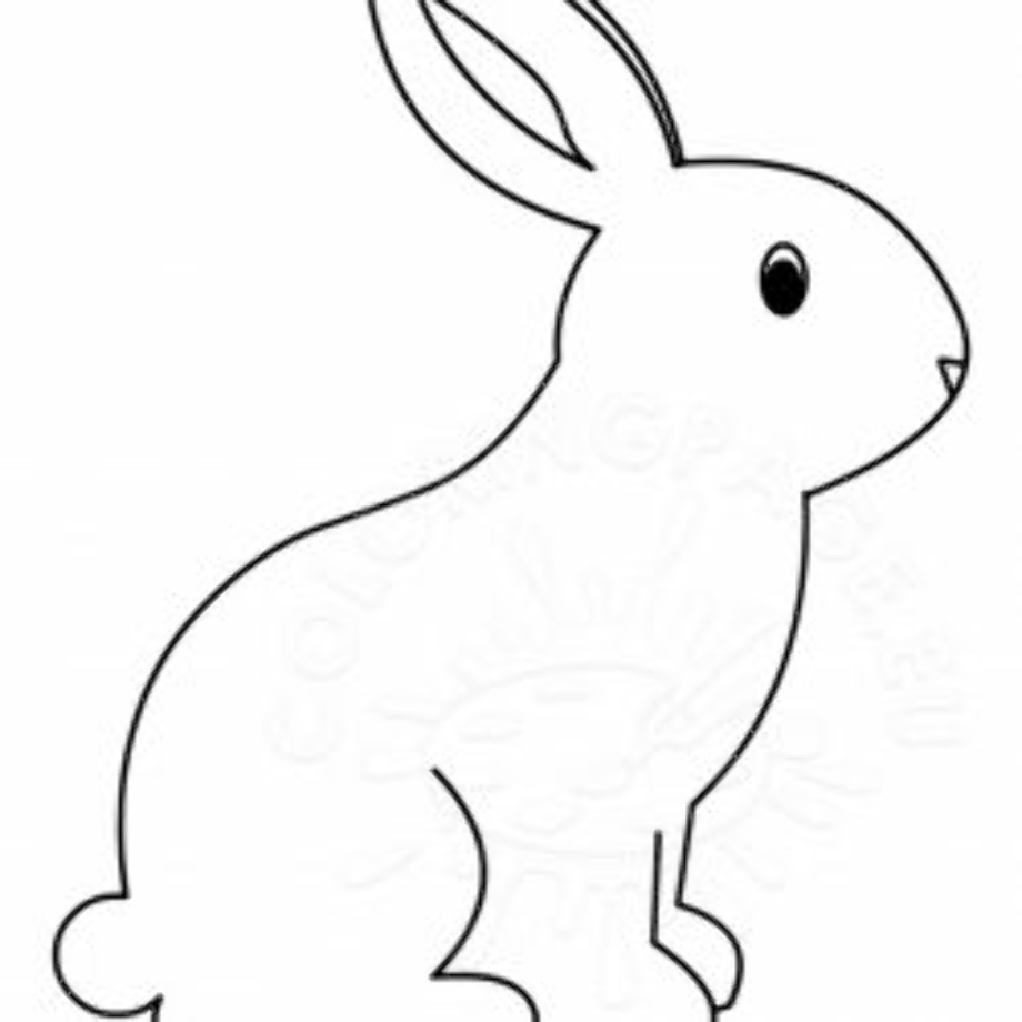 Download High Quality rabbit clipart easy Transparent PNG Images - Art