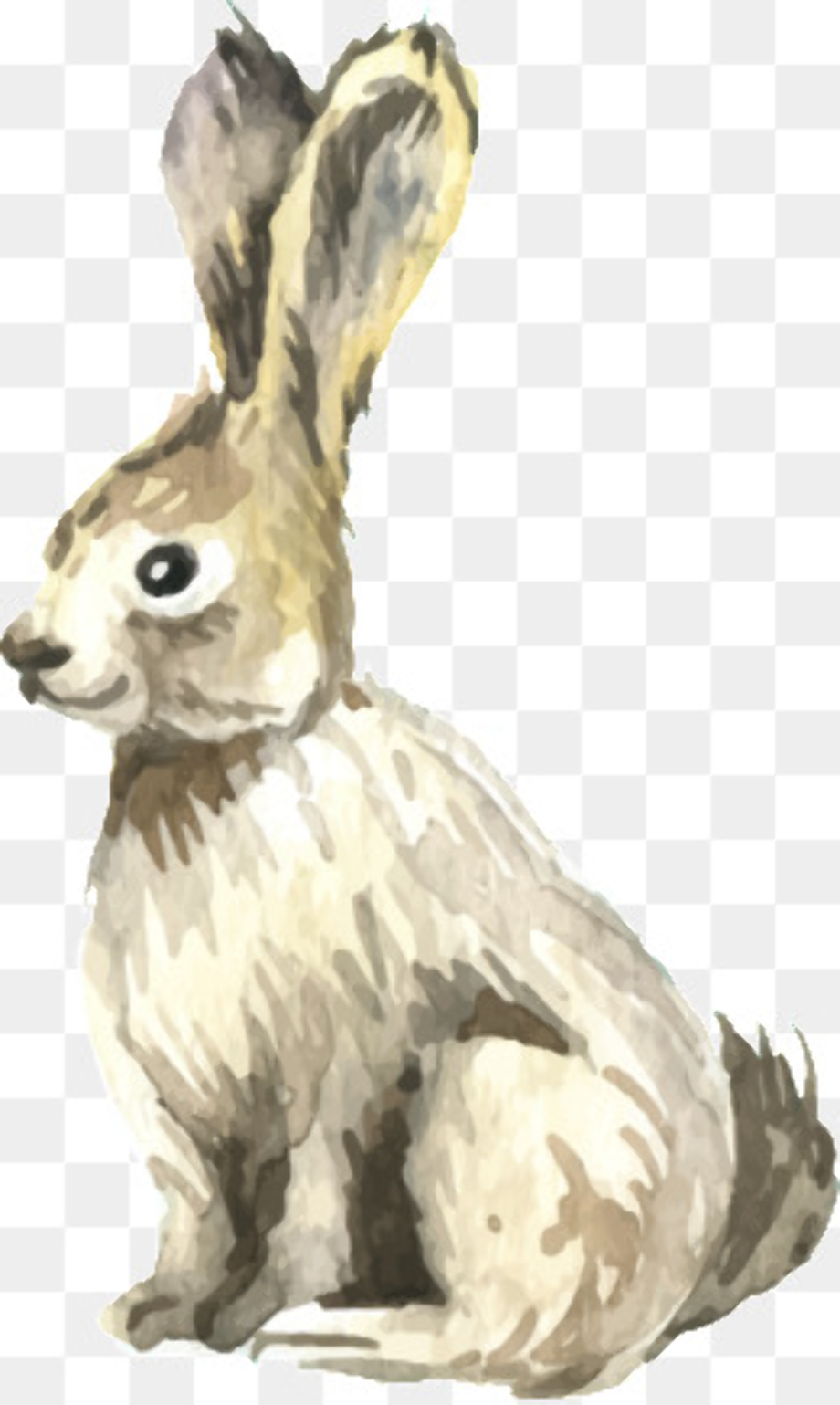 Download High Quality rabbit clipart realistic Transparent PNG Images