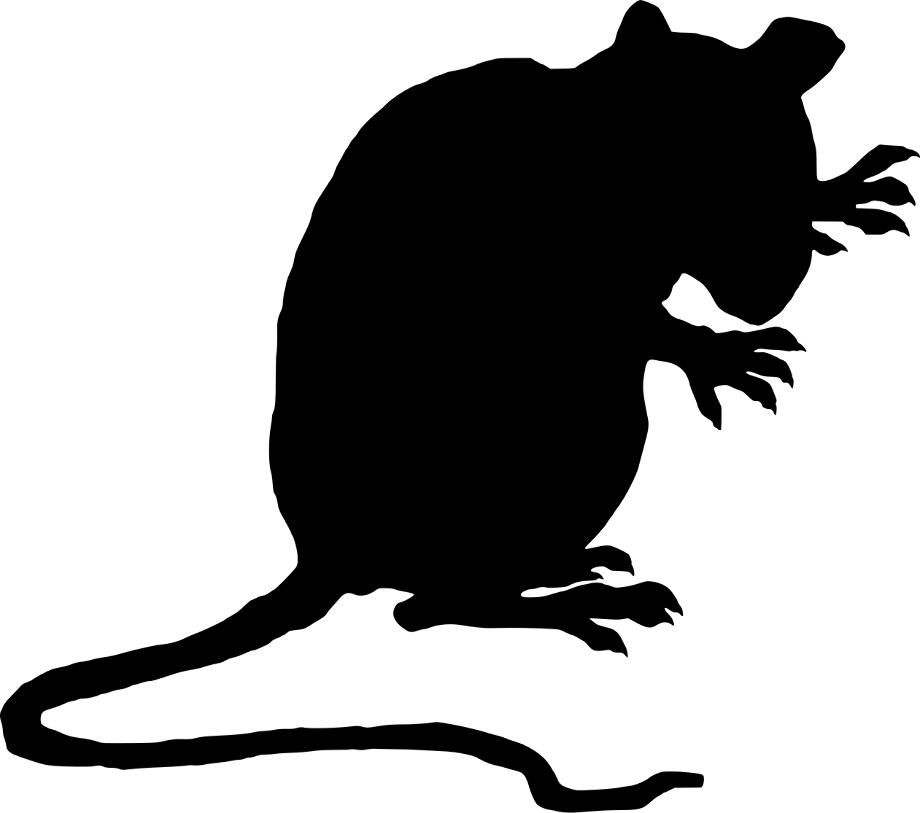 rat clipart evil
