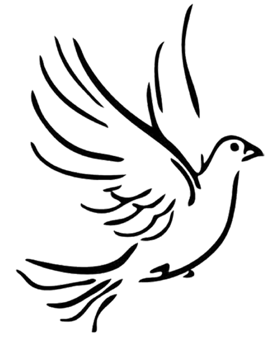 Download High Quality religious clipart dove Transparent PNG Images ...