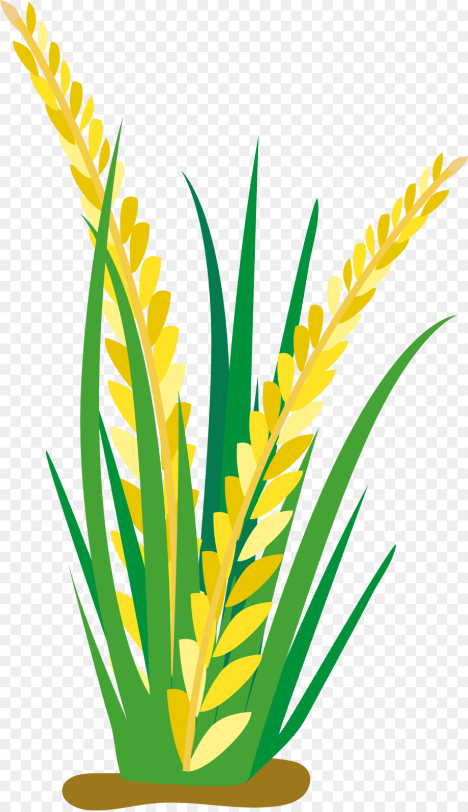 rice clipart plant