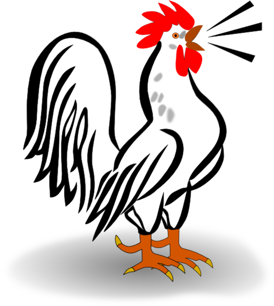 morning clipart rooster