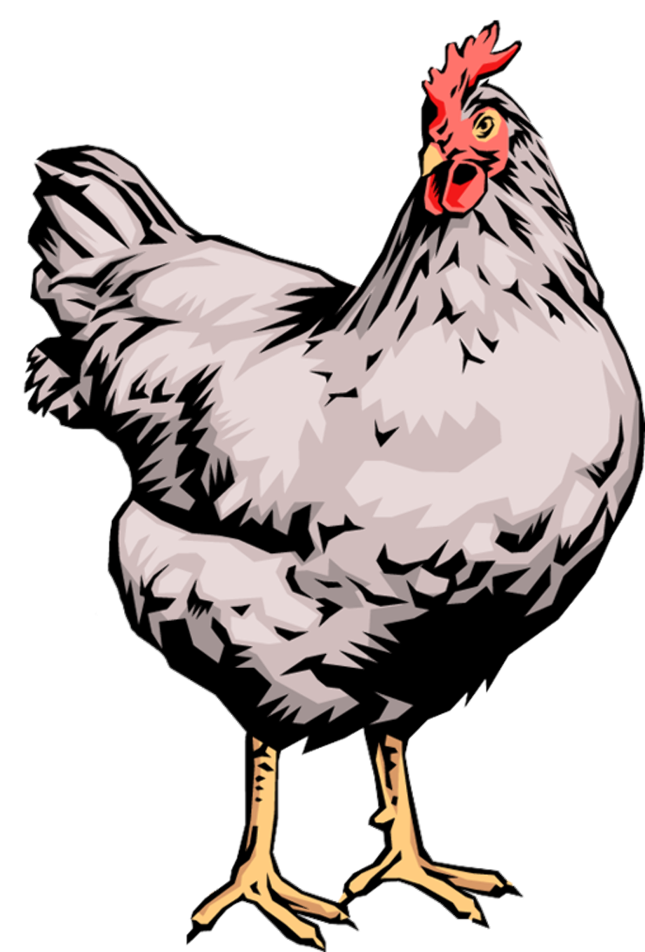Download High Quality rooster clipart farm animal Transparent PNG