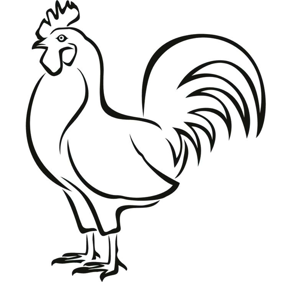 rooster clipart easy