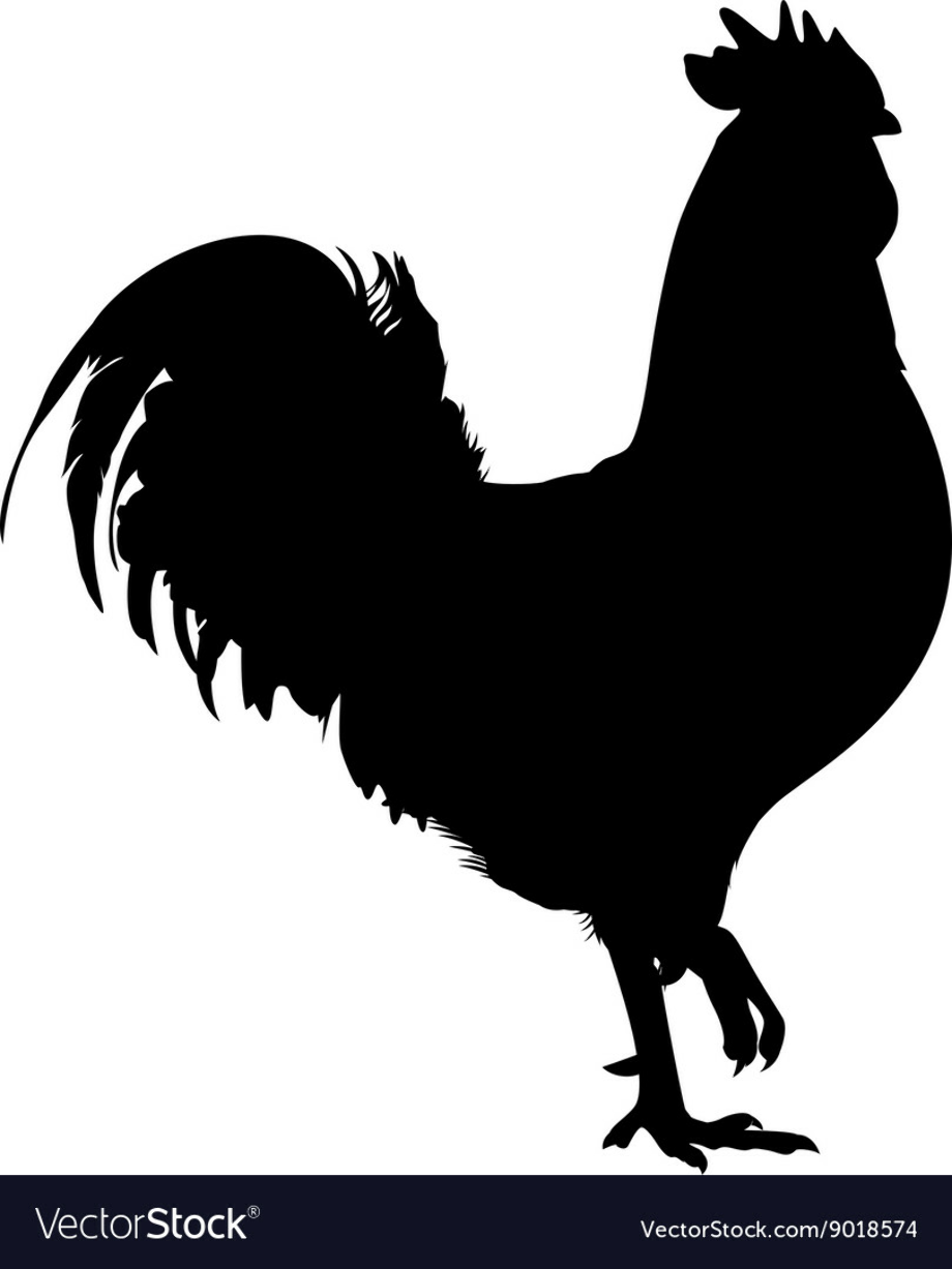 rooster clipart vector