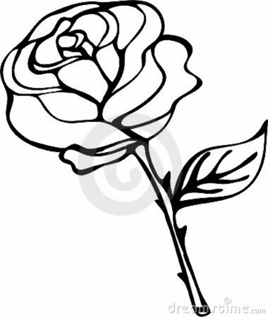 black and white clipart rose