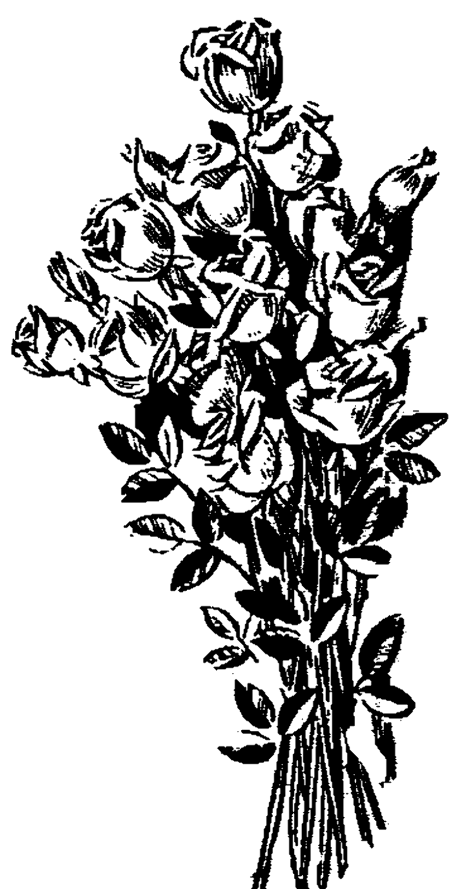 Download High Quality rose clipart black and white bouquet