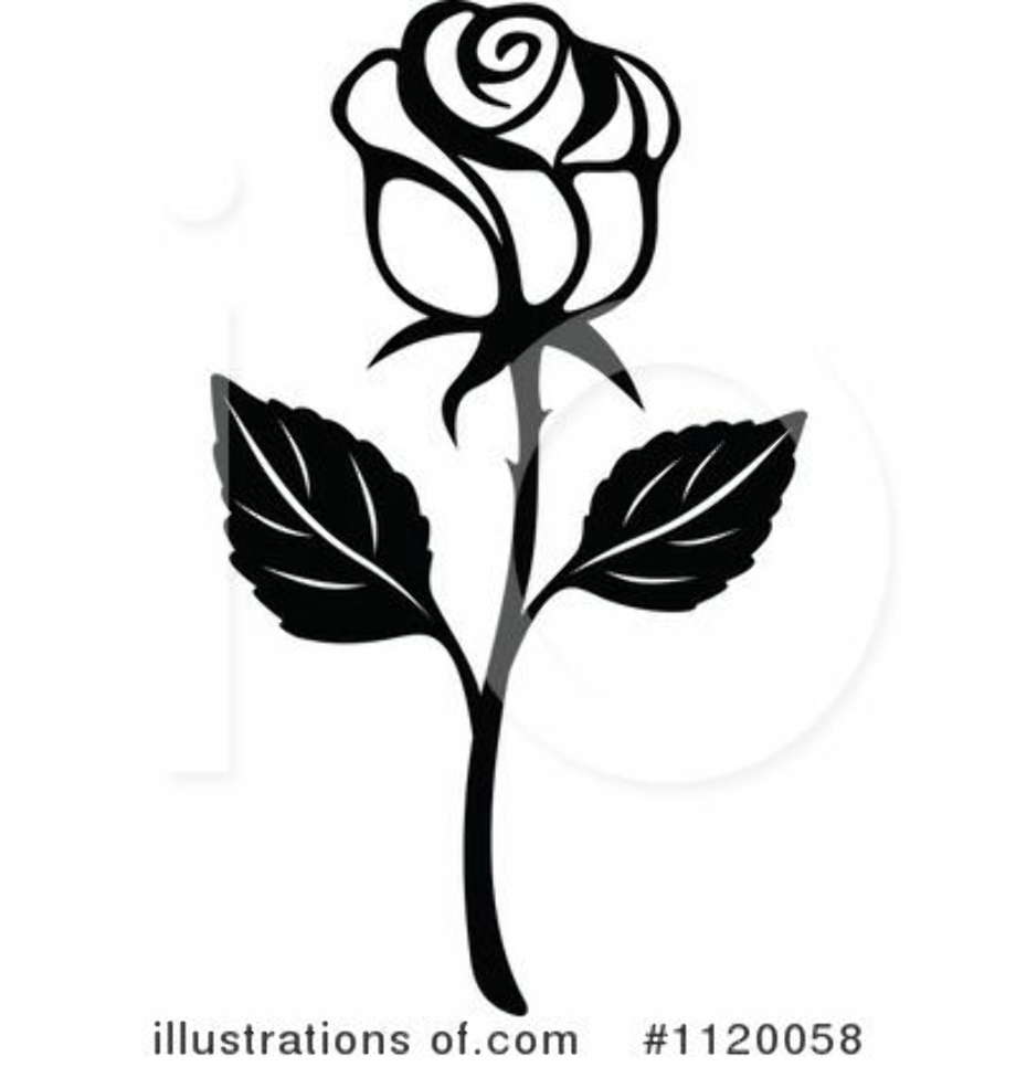 Download High Quality rose clipart black and white stem Transparent PNG