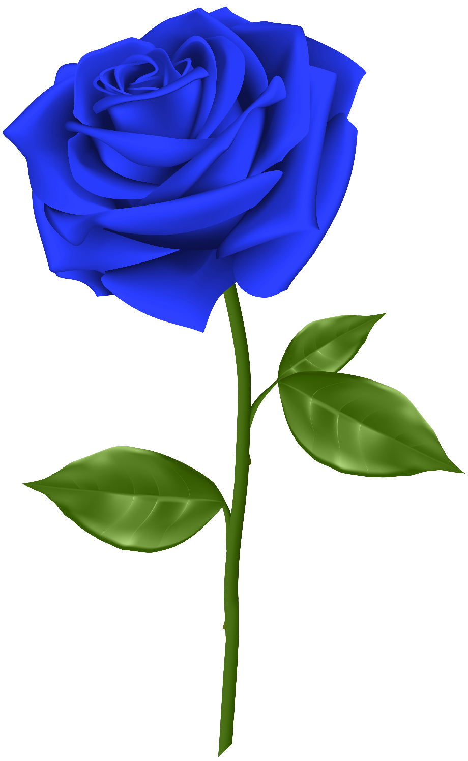 rose transparent blue
