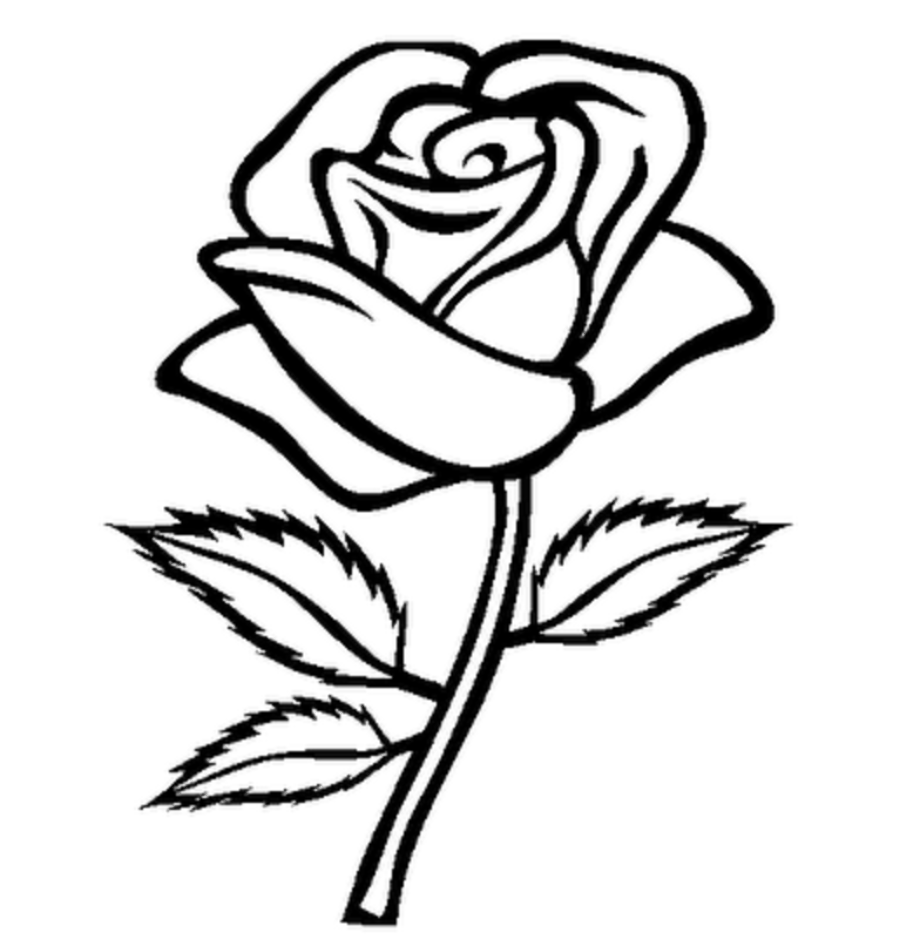 rose clipart black and white outline