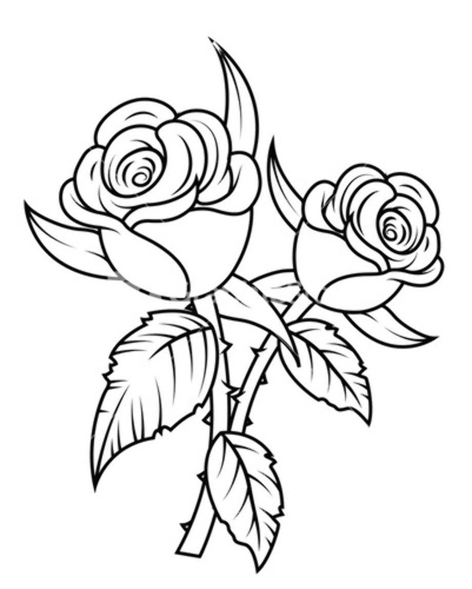 rose clipart black and white sketch