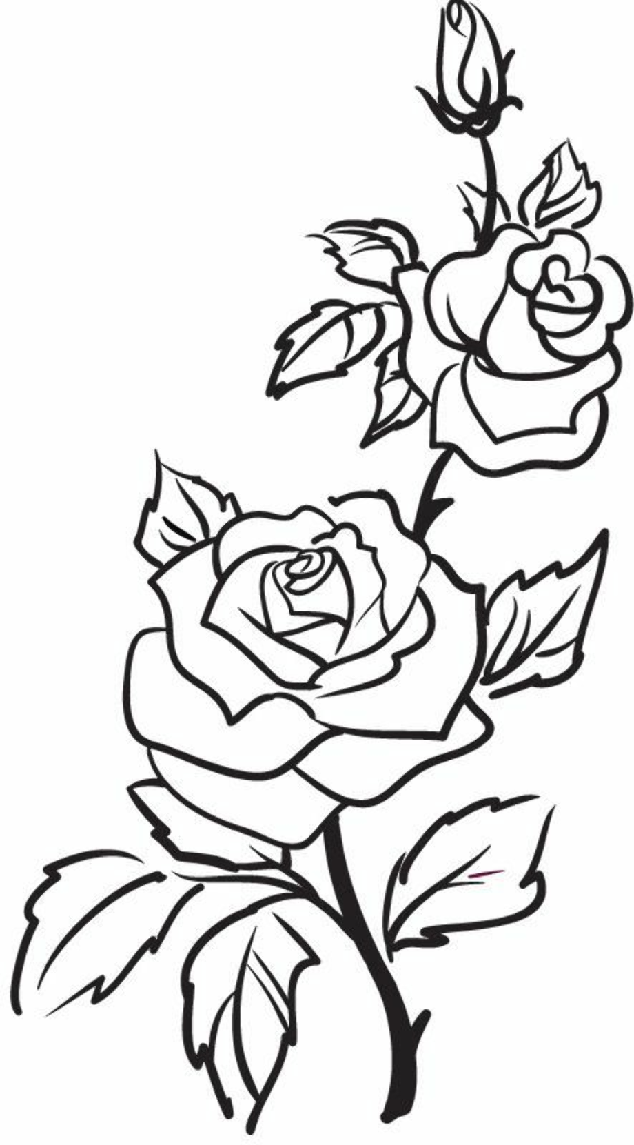 roses clipart tattoo