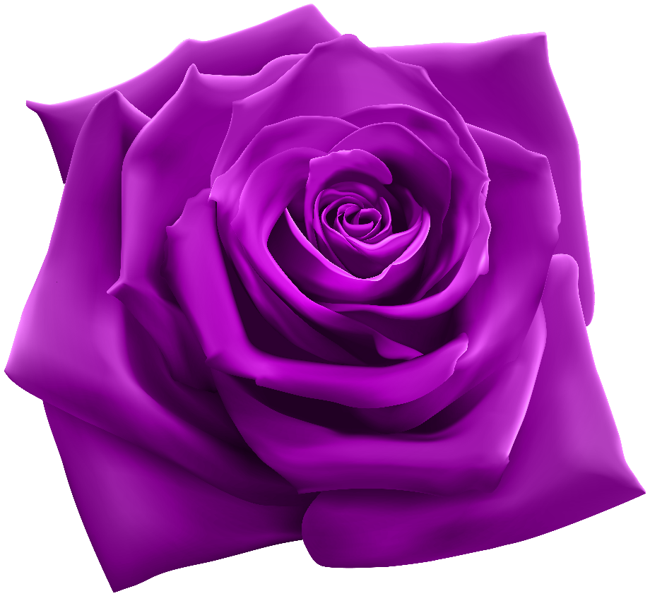 rose transparent purple
