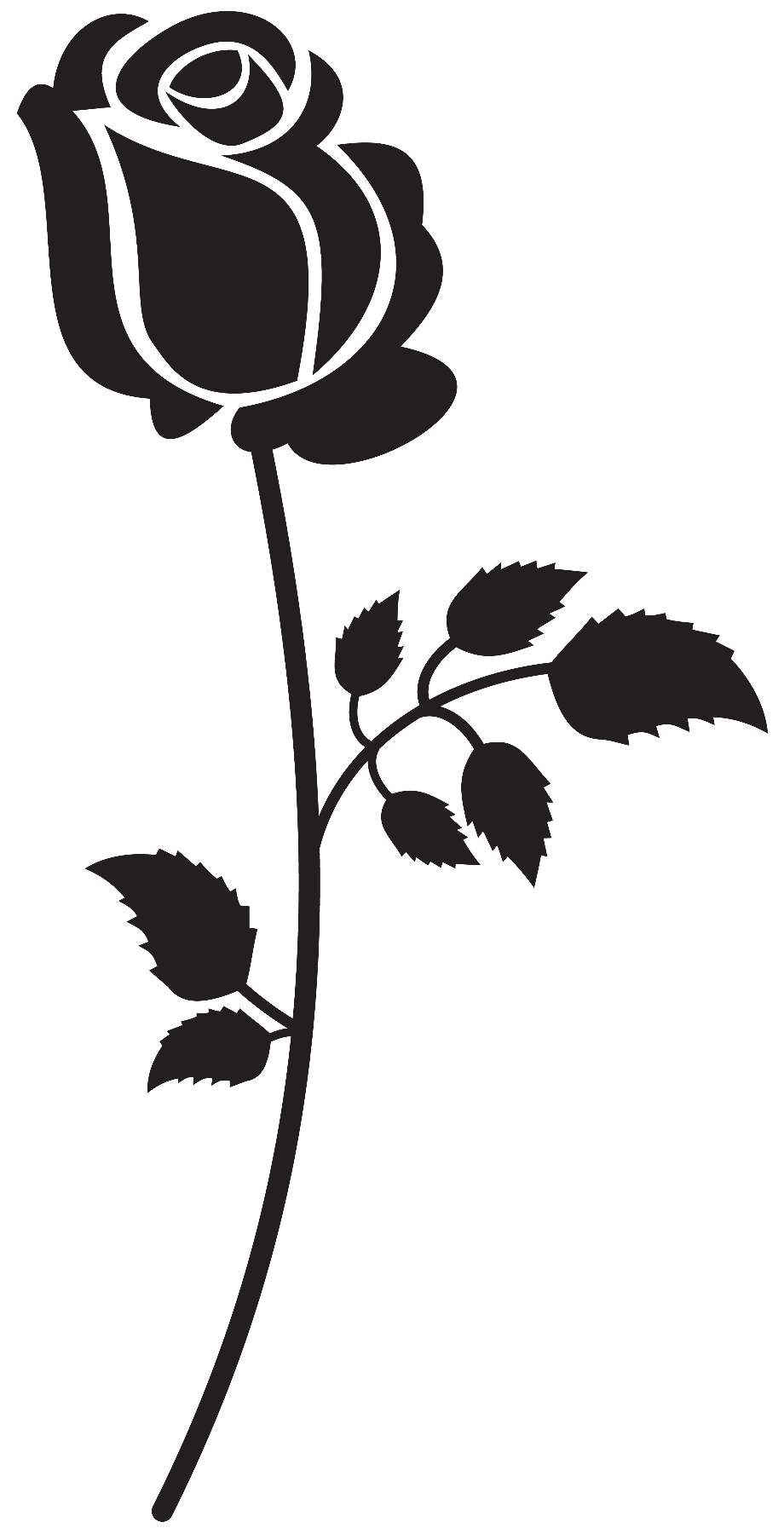 rose clipart black and white transparent