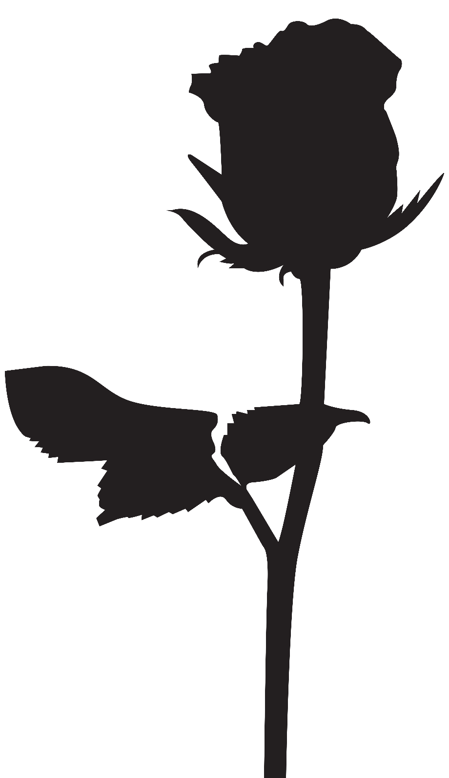 transparent rose silhouette