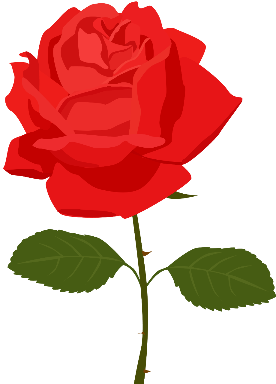 roses clipart cartoon