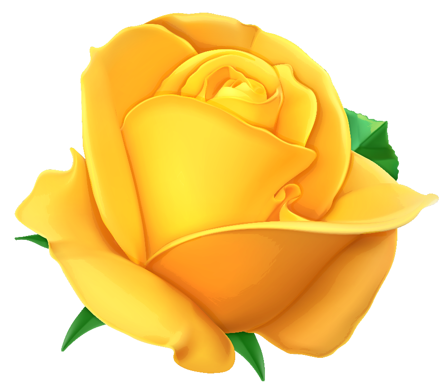 rose transparent yellow