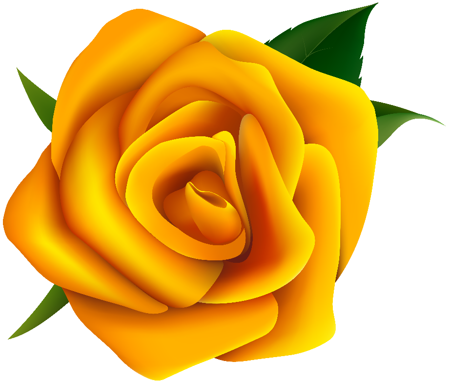 roses clipart yellow